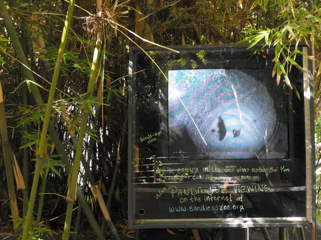 Illegally Cut Robin Hood Tree: Experts Estimate its Age