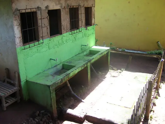 Witnesses recount events following a daring escape and foiled burglary incident in the...