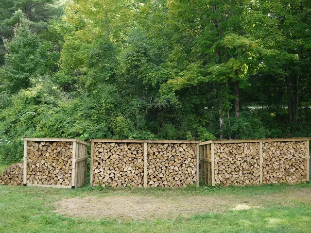 Managing the Lifecycle of Mass Timber Structures: Strategies from Reutilization to Burial...