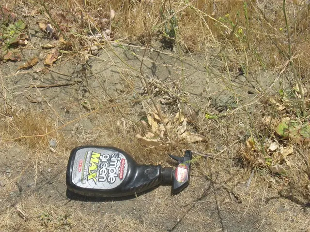 Advantages of Humic Acid: A Look at Its Key Perks