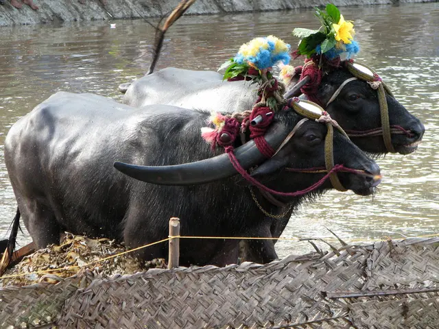 Hungary posits bioterrorism as the suspected reason behind the MKS incident