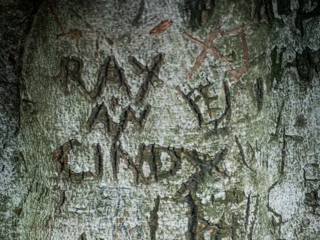 Worker Injured as BelAZ Wheel Crushes Excavator