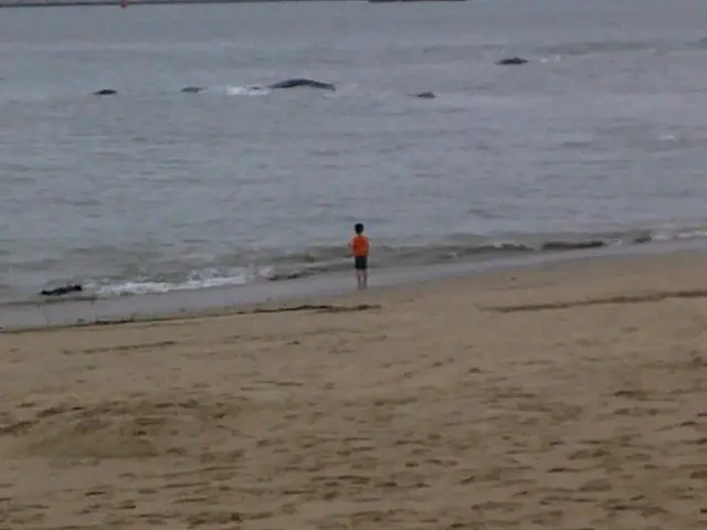 Tragic incident: Young boy aged four from Starnberg County meets watery demise during vacation