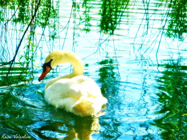 Rare Creatures Beginning with 'X': Uncovering Various Animal Names Starting with 'X'