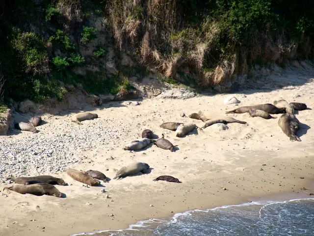 Estonia ponders reviving swampy areas as strategic measure against Putin's influence and climate...