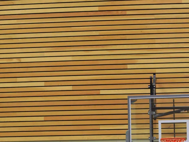 WNBA season concludes for Caitlin Clark.