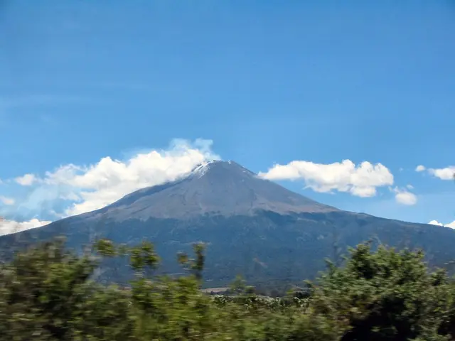 "Wall-mounted weed barriers to combat unwanted vegetation growth"