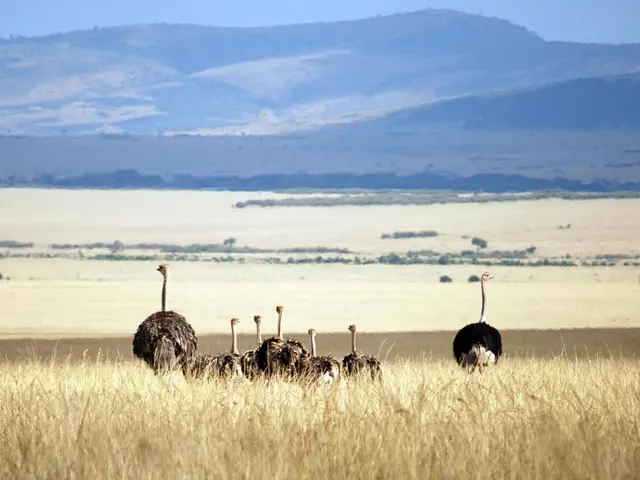 Another area identified by scientists where residents live remarkably long lives, revealing a...