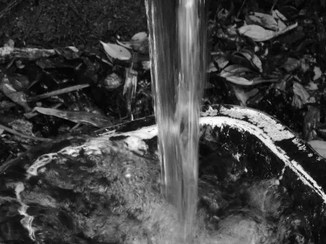 Techniques for optimal hydration