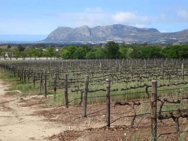 Church purchases agricultural property and files for tax exemptions in court