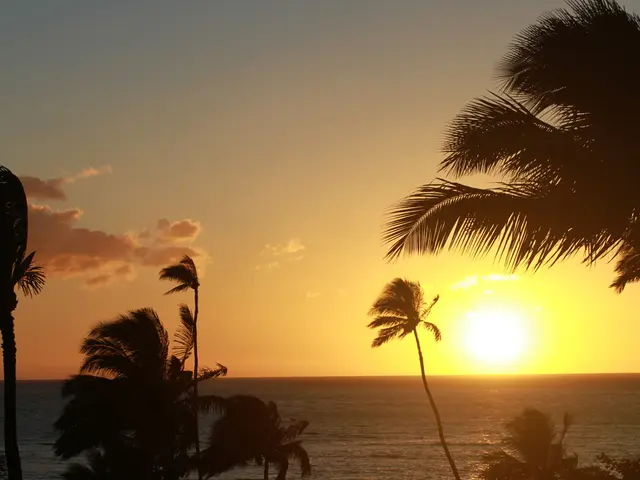 Weather forecaster anticipates prolonged period of heat and high humidity lasting until the weekend