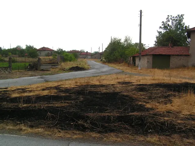 Local Climate Change Event Held at Barnard Castle