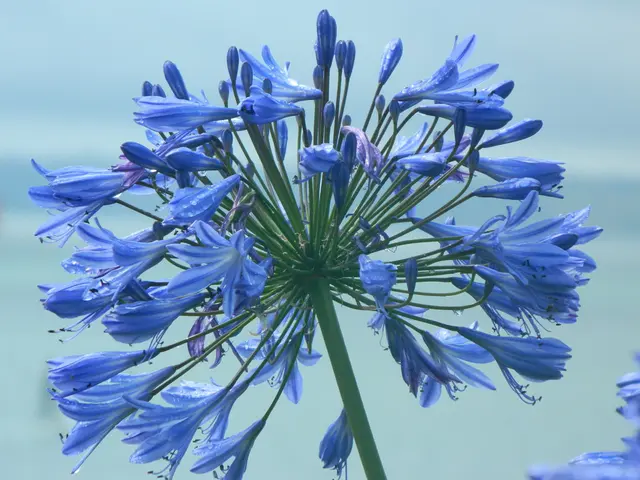 Orlando Bloom expresses only feelings of love