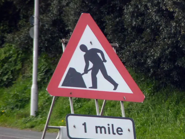 Transform Your Home's Curb Appeal Through a Tidy Driveway Maintenance