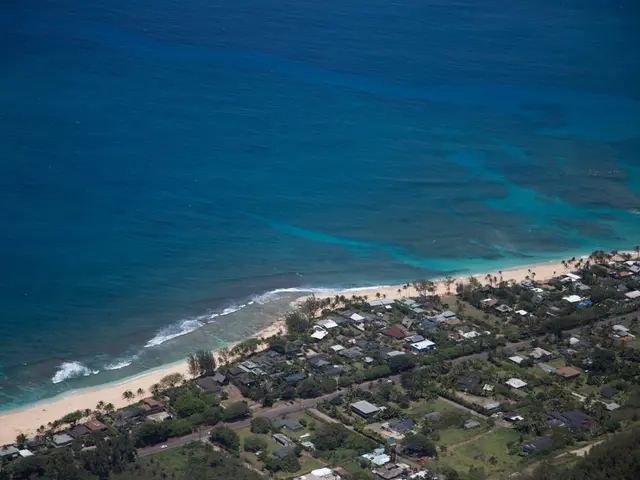 Alessandria Municipality's scrutiny on Perissinotto's custody of children case