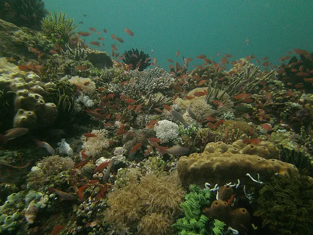 Aquatic Creature ability to discharge water projectiles for insect elimination