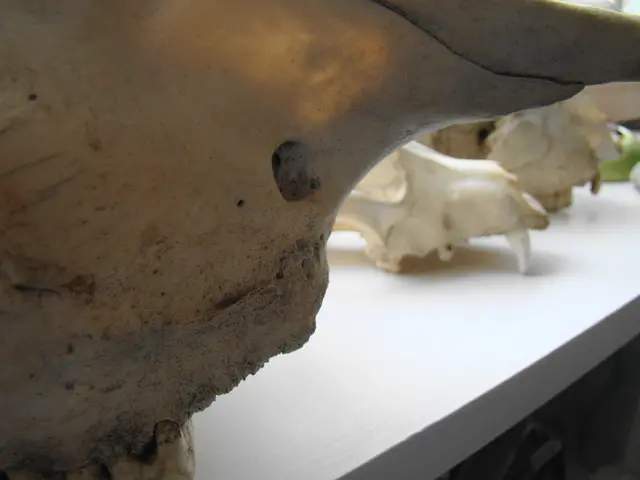 Radiation Explained: Discovering the Science of Irradiation