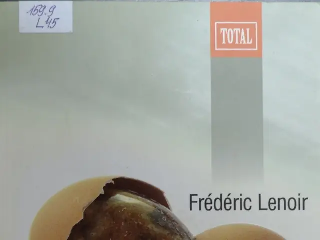 Devising an Excessive Apparatus for Automated Egg Breaking