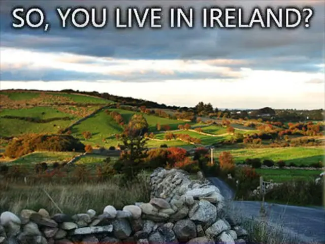 Significant traffic delay on A7 due to vehicle blaze