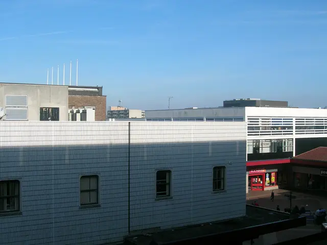 Godaddy Introduces Elite WordPress Assistance for Mini Enterprises and Administrators' Websites