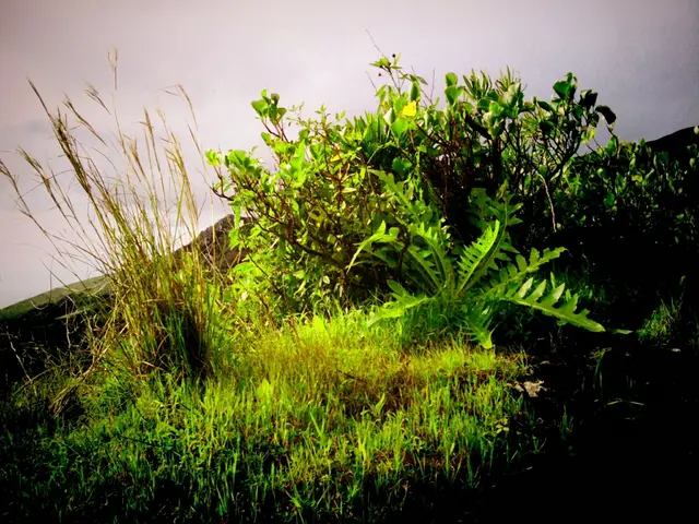 Inclement weather forces school closure today in Indore