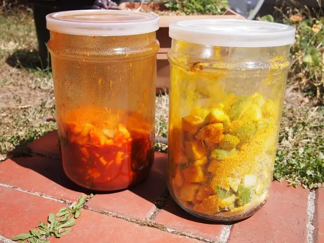 Revolutionized Conveyor Sorting through Acoustophoretic Seed Separation