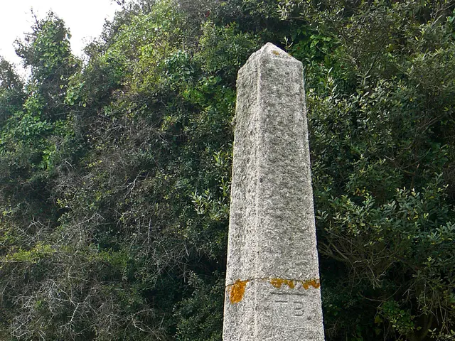 Evolution observed in oncology treatments across Latvia over the past five years