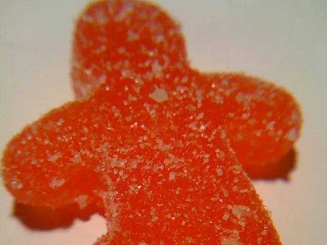 Illustration of Contained Porcine Islet Arrangement