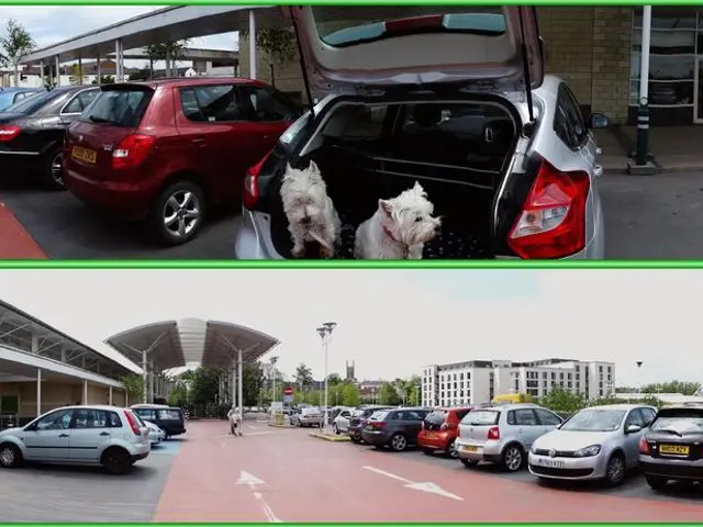 Suggestions have already been put forth by the Commission.