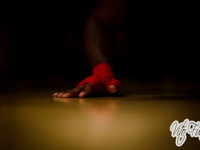 Artificial Intelligence Developments in Dresden: Particular Focus on Emotional Processing in Robots