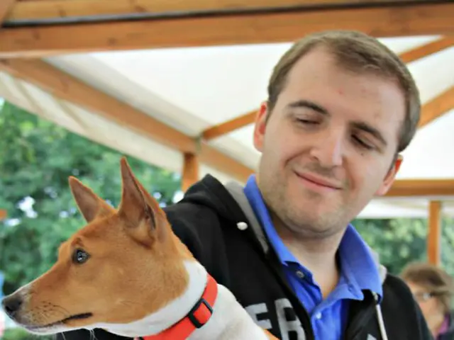 Enhancing your dog's joy and modifying their behavior, according to a trainer, solely hinges on...