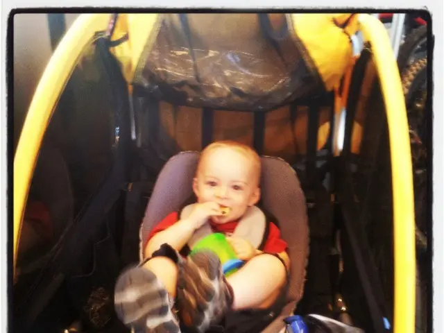 Subject is to be made aware of the following details: