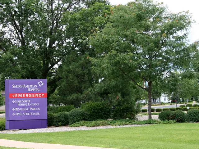 Readying New York City for Cyclones, Twisters, Bushfires, 2.13-meter Blizzards