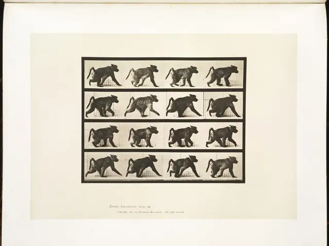 Cherished Creatures in the Wild