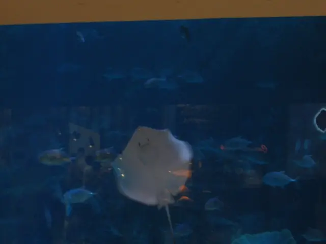 Reef Factory's Reef flare Pro LED Lighting