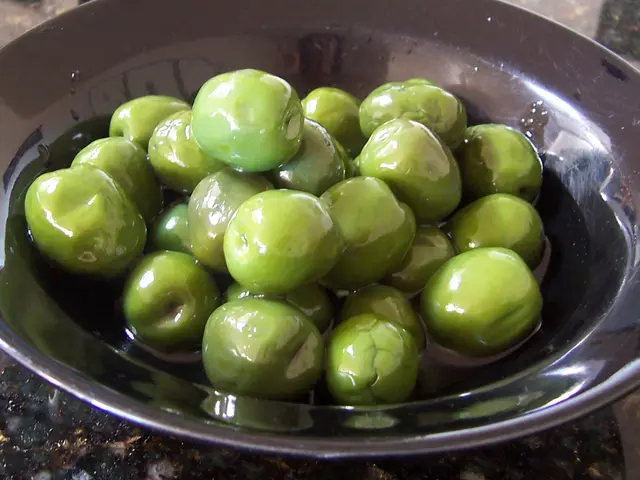 Booming oil tourism: Exploring the world of olive oil production