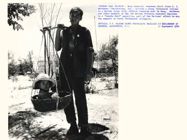 Unveiling Insights: Cast, Synopsis, News, and Initial Glimpses of the Harlan Coben Adaptation - A...