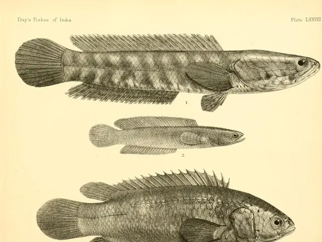 Gene with therapeutic potential for Barth Syndrome unveiled in preclinical study.