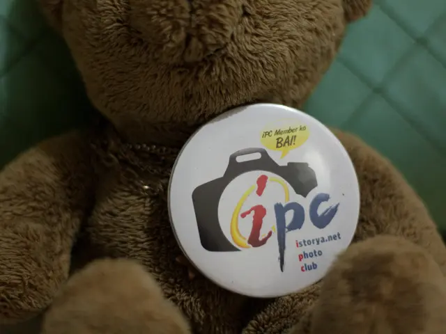 Waning public interest in polar bear Knut is scarcely apparent