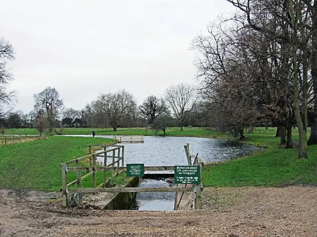 Enhanced Transportation Options for Senior Citizens