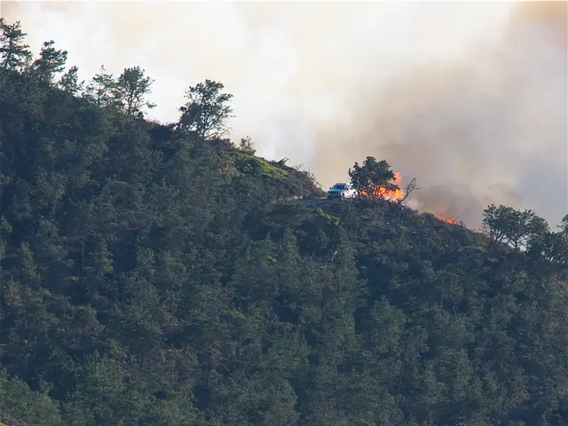 Unspecified factors ignite forest blazes