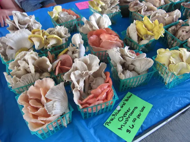 XRP's Value Falters at $2.9 - Predicting the Subsequent Potential Low Point