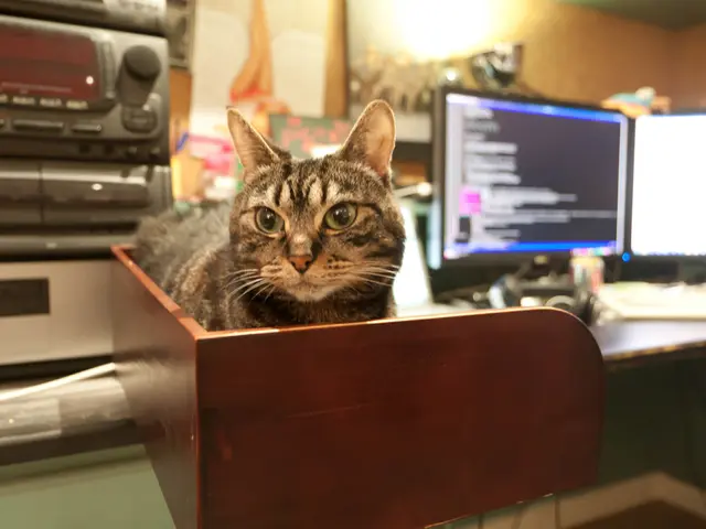 Unveiling of the First Web3 Laptop: Developers Disclose Airdrop Plans