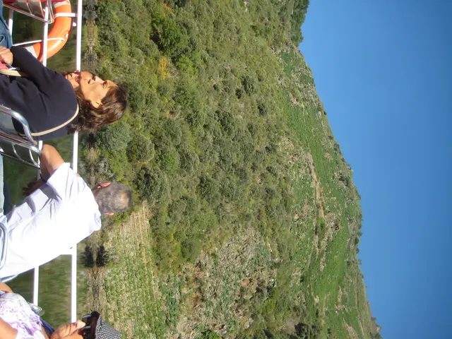 Immersive Journeys into the Heart of Cultural Traditions