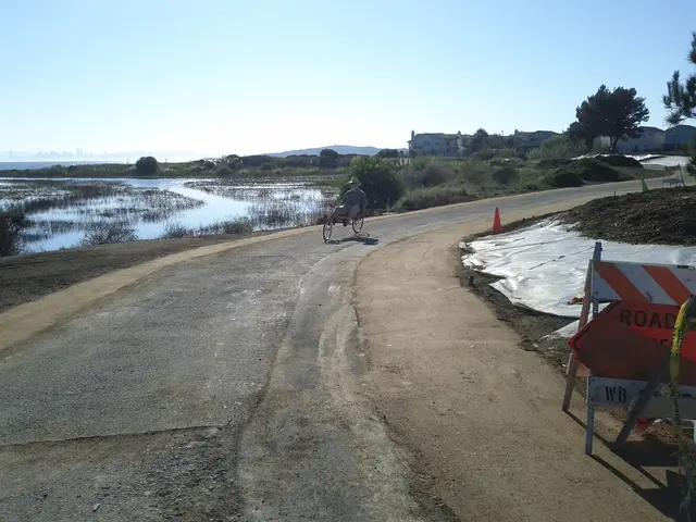 Car operator propels his spouse into a pedestrian crossing