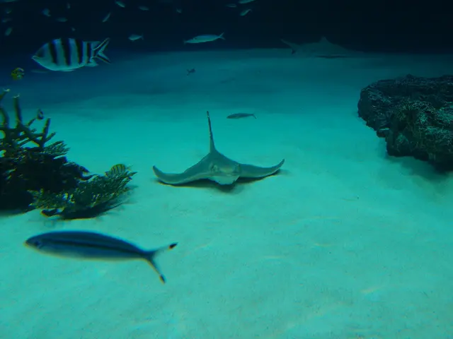 Examination: Utilizing eco-acoustics for assessing the influence on biological diversity