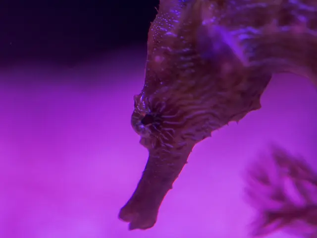 Unusual and Enchanting Tempest of Pink in Nature's Mensagerie: The Fascinating Rosy-Hued Beasts of...