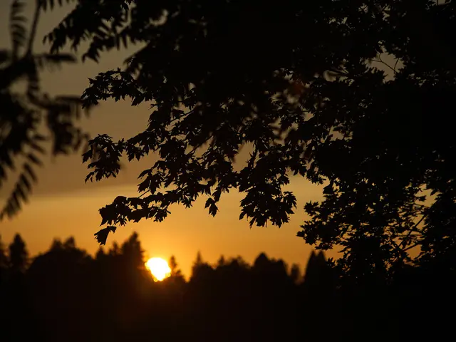 Sky conjunction of two celestial wonders: Solar eclipse aligning with Equinoxes