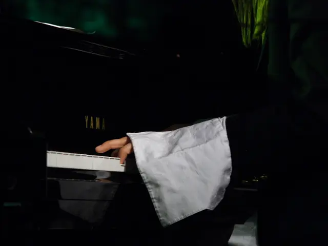 Skilled pianist showcases each level of 'Twinkle Twinkle Little Star,' demonstrating striking...