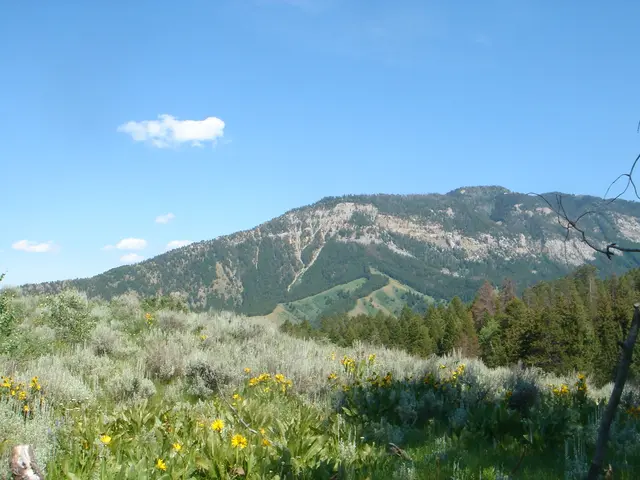 Visual deception captured in a photograph, challenging your perception